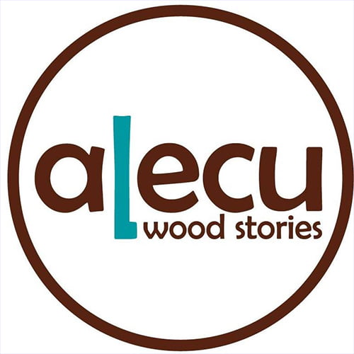 alecu-stories-logo